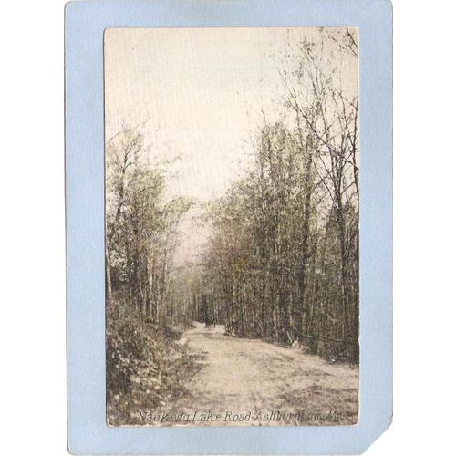 MA Asburnham Naukeag Lake Road Tree Lined Road w/Horse & Wagon ma_box1~13