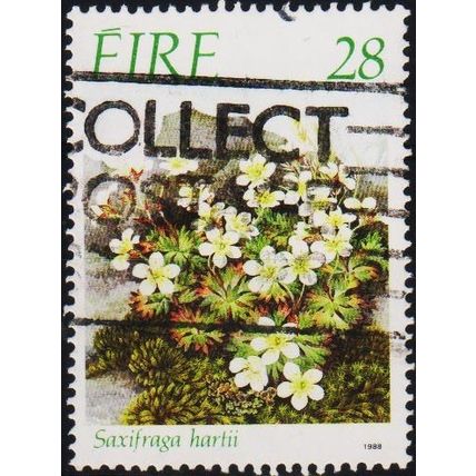 Ireland. 1988 28p S.G.699 Used