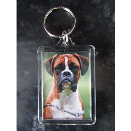 DOG BREED KEY RINGS QUALITY ACRYLIC DOUBLE SIDED PHOTO KEY RINGS 33 BREEDS