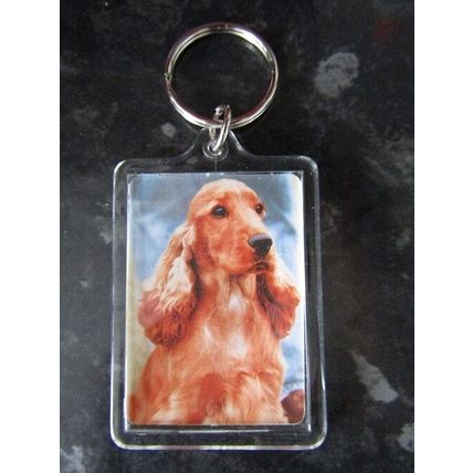 DOG BREED KEY RINGS QUALITY ACRYLIC DOUBLE SIDED PHOTO KEY RINGS 33 BREEDS
