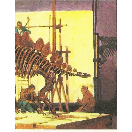 Panini's Dinosaurs Sticker Collection - Sticker No. 33