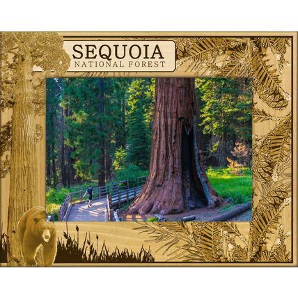 Sequoia National Forest Laser Engraved Wood Picture Frame Landscape (3 x 5)