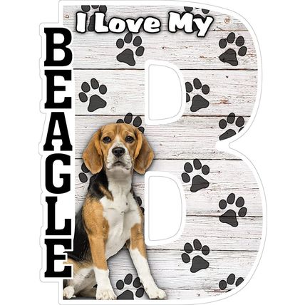 I Love My Beagle Fridge Magnet