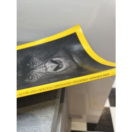 National Geographic Magazine July 2008 Who Murdered Mountain GorillasCollectable