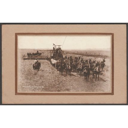 Horse Drawn Combine Harvester, California, c.1910 - Bardell-O'Neill RPPC