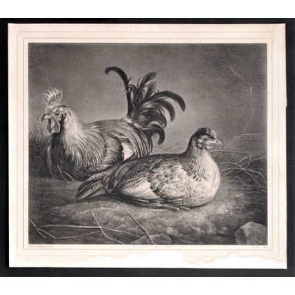 HEN AND COCKEREL ON STRAW 1823 Kaspar Auer - Aelbert Cuyp ANTIQUE LITHOGRAPH