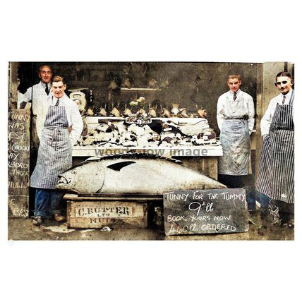 ptc5725 - Tunny for Sale, (9d per lb.) from a 460lb Tuna Fish, Goole - print 6x4