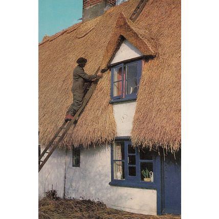 African Thatcher in Britain Thatching Crafts Postcard