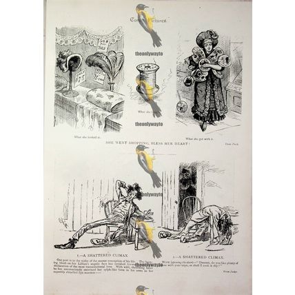Shopping & Shattered Climax, Victorian Humour, Book Illustration (Print), 1893