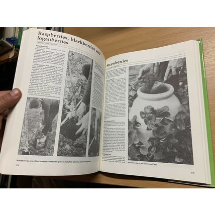 1982 "PRACTICAL GARDENING - STEP BY STEP GARDENING" LARGE HARDBACK BOOK (P6)
