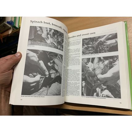1982 "PRACTICAL GARDENING - STEP BY STEP GARDENING" LARGE HARDBACK BOOK (P6)