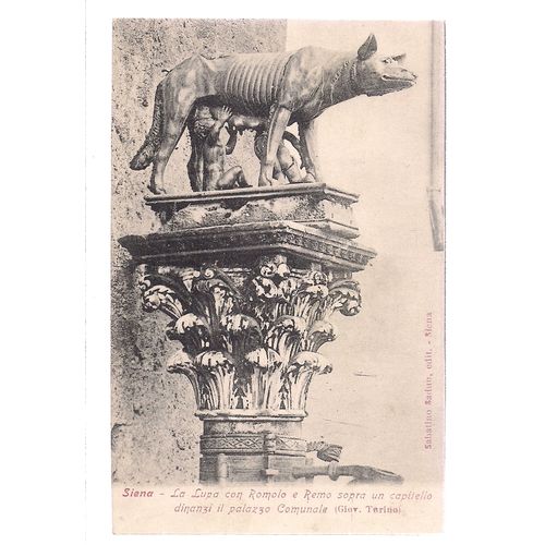 LA LUPA.... SIENA ITALY unused antique postcard wolf #
