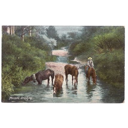 HORSES DRINKING, unused antique postcard by Hartmann c. 1910 =