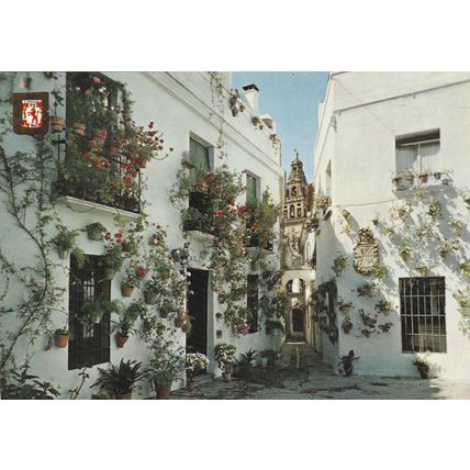 Cordoba Calleja y Plaza de las Florres Spain Postcard unused VGC