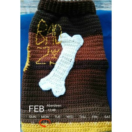Doggie Sweater, Crochet, Brown