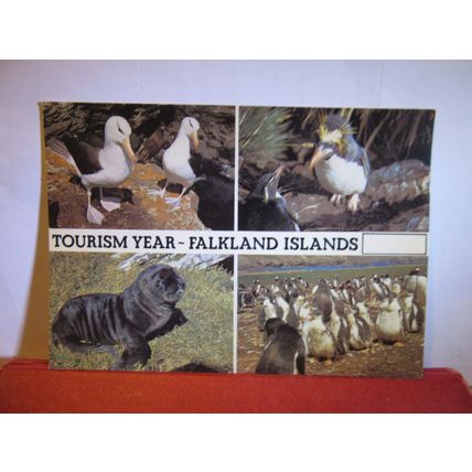 multiview, FALKLAND ISLANDS WILDLIFE unused postcard by J. Arthur Dixon 4358 #