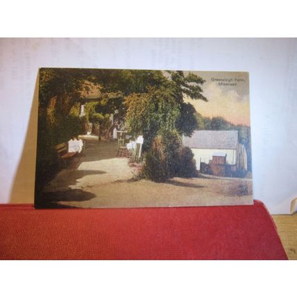 GREENALEIGH FARM, MINEHEAD, SOMERSET unused antique postcard =