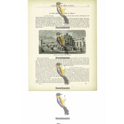 Fountain & Aqueduct, Mexico City, Book Illustration (Print), c1880