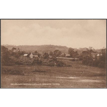 Holmwood Common shewing Redlands Woods, Surrey, c.1920 - Postcard