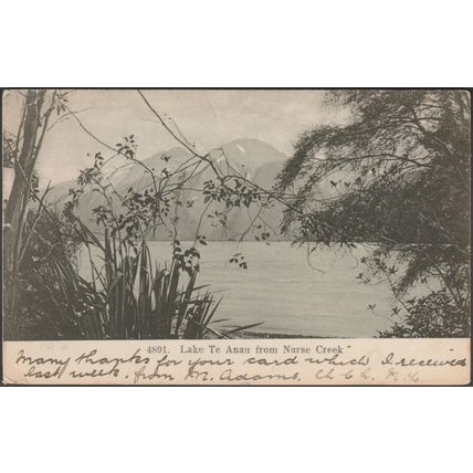 Lake Te Anau from Nurse Creek, c.1905 - Muir & Moodie Postcard