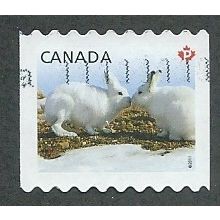 CAN 2011 (P) (S/A) 'BABY WILDLIFE' FINE USED (EBID44-291)