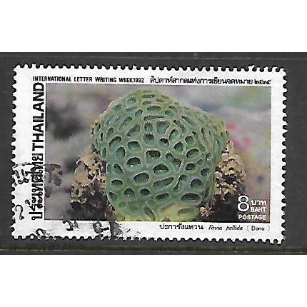 THAILAND 1992 CORALS 8b FAVIA PALLIDA SG 1653 FINE USED#