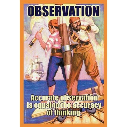 Observation 12 x 18 Poster
