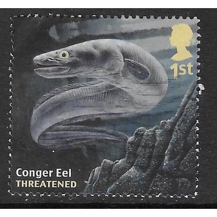 2014 Sustainable Fish - Conger Eel - used