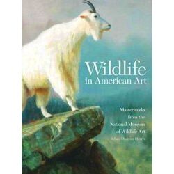 Wildlife In American Art