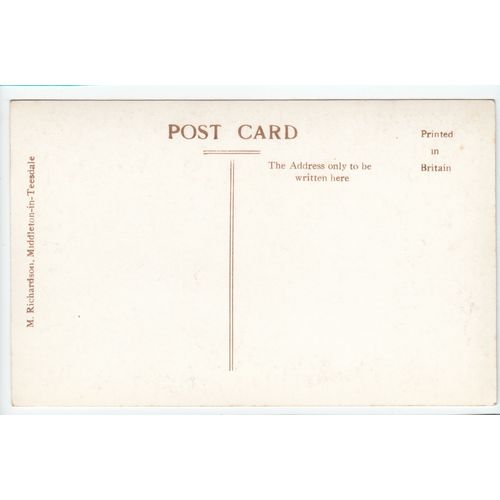 Salmon Leap Upper Teesdale Co Durham RP Postcard Local Publisher M Richardson