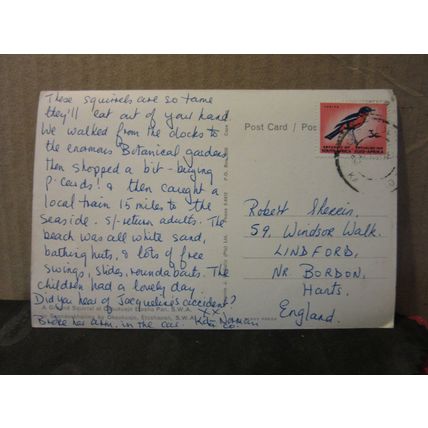 GROUND SQUIRREL, OKAUKUAJO, ETOSHA PAN, SOUTH WEST AFRICA used postcard 1980s =