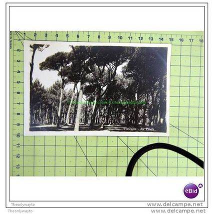 VIAREGGIO, LA PINETA, PISA, ITALY, Postcard