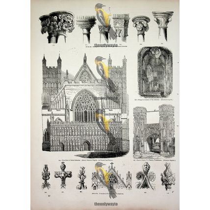 Architecture, Exeter Cathedrals & Finials, Capitals, Book Illustration, 1850