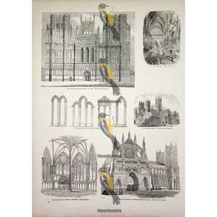 Architecture, Wells, Lincoln & Salisbury Cathedral, Book Illustration, 1850