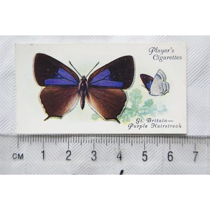 1932 John Player & Sons Butterflies No. 16 British, The Purple Hair-streak
