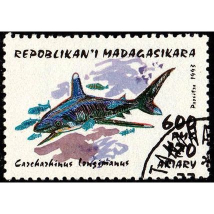 Madagascar 1993 Marine Life 600f Used Stamp Fish Shark