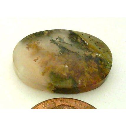 Golden Plume Agate Freeform Gemstone Cabochon 283