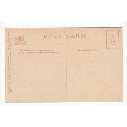 By the Side of the Stream Postcard Raphael Tuck & Sons Country Life