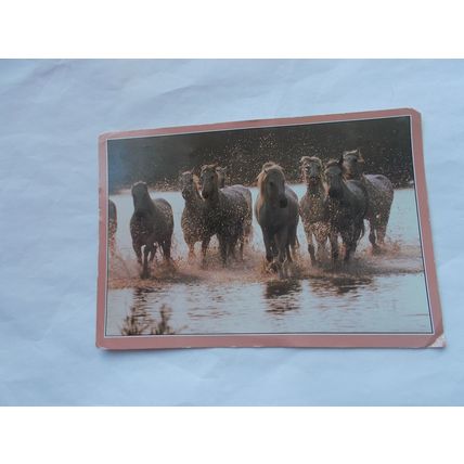 HORSES X 6 (07/02)