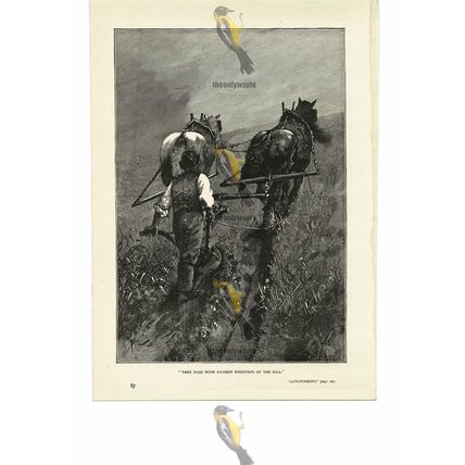 Life Furrows, Horse Plough, Victorian Life, Book Illustration (Print), 1887