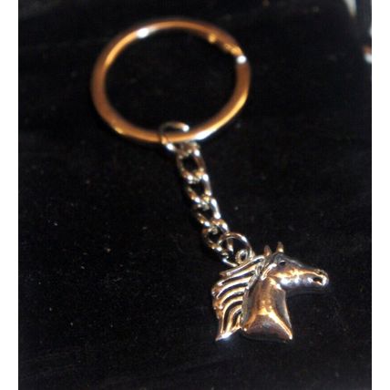 STUNNING SILVER METAL KEY RING WITH KEY CHAIN & VELVET GIFT BAG