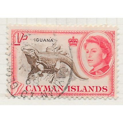 CAYMAN ISLANDS 1959 QE2 IGUANA LIZARD WILDLIFE TOURISM USED SG174 174 SG PMK CEN
