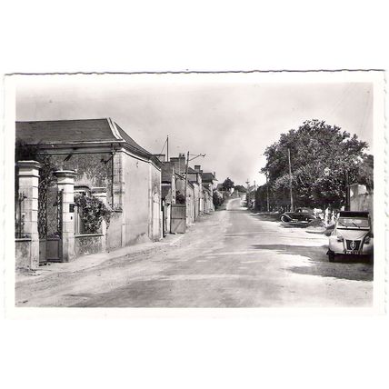 53 - ST DENIS D'ANJOU - LES PROMENADES ET ROUTE DE SABLE