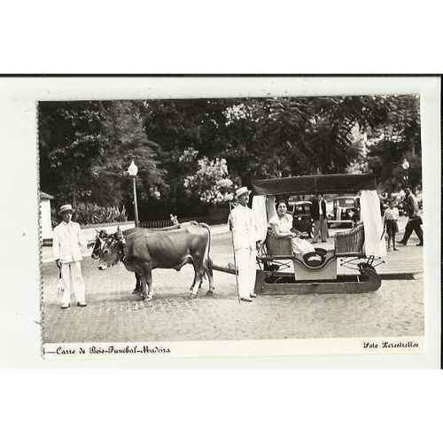 Portugal MADEIRA Funchal Carro de Bois (Ox Cart) Postcard by Perestrellos
