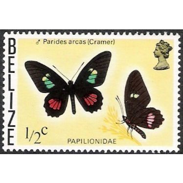 Belize 1974 ½c Papilionidae Unmounted Mint NHM SG 380 Sc 345 stamp butterfly