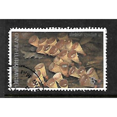 THAILAND 1993 FUNGI 8b CYATHUS SP SG 1686 FINE USED