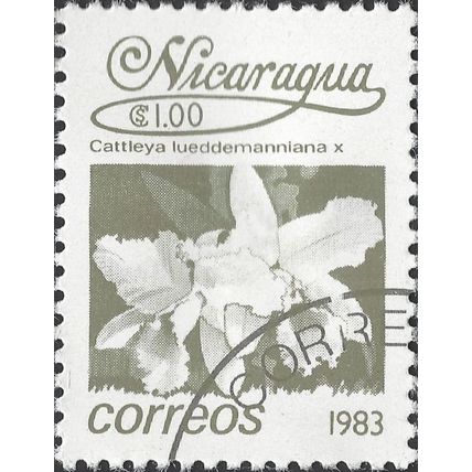 NICARAGUA, FLOWER, Orchid, Cattleya lueddemanniana, grey 1983, $1.00, #3