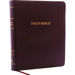 Kjv Holy Bible: Giant Print with 53, 000 Cross References, Burgundy Bonded Leath