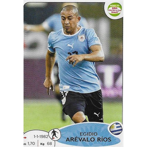 Panini's Road to FIFA World Cup Brazil 2014 Stickers: No.80 - Arévalo Ríos