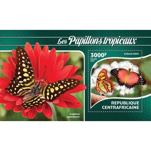 CENTRAL AFRICA 2015 SHEET MNH TROPICAL BUTTERFLIES PAPILLONS SCHMETTERLINGEN 1A